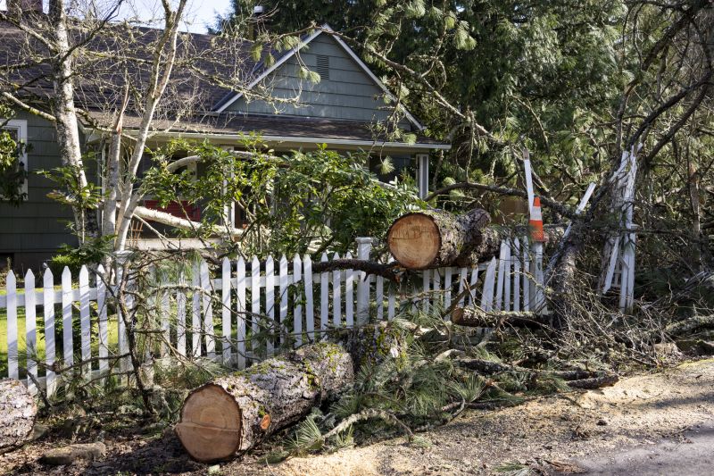 Dogwood Tree Removal in Bucks County, PA
