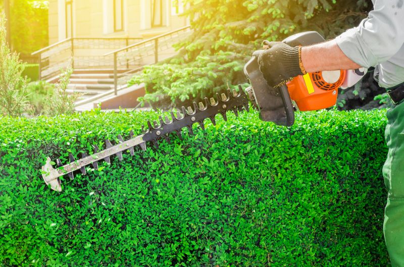 Hedge Removal Service in Rockwall, TX