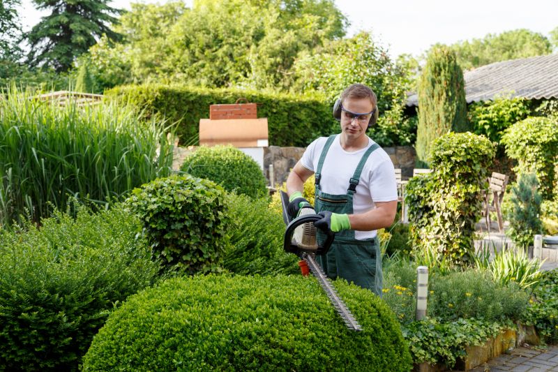 Hedge Removal Service in Rockwall, TX