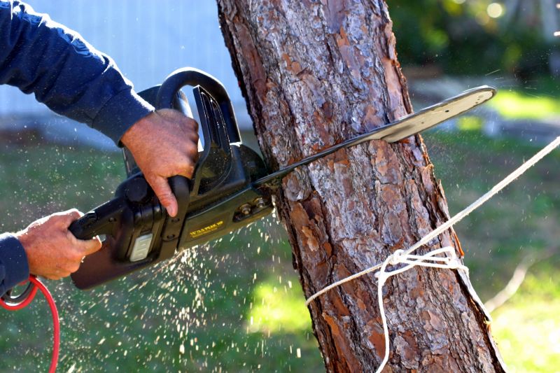 Tree Removal Service in Pottstown, PA